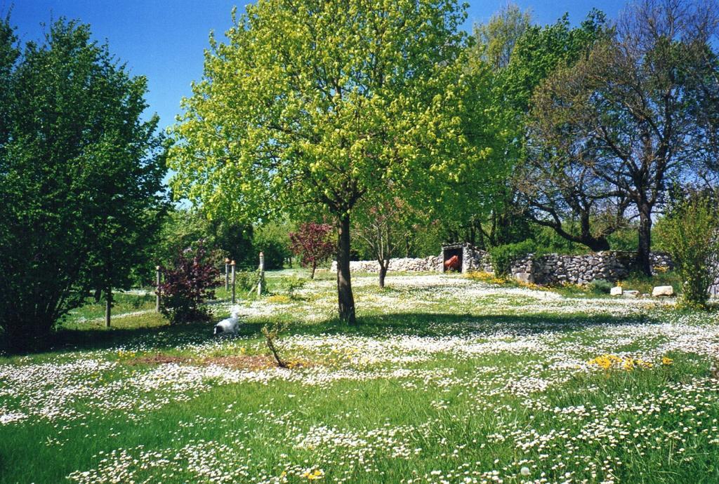 Gite L'Odonata Valeilles Δωμάτιο φωτογραφία